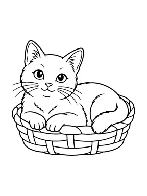A cat rests in a low woven basket.